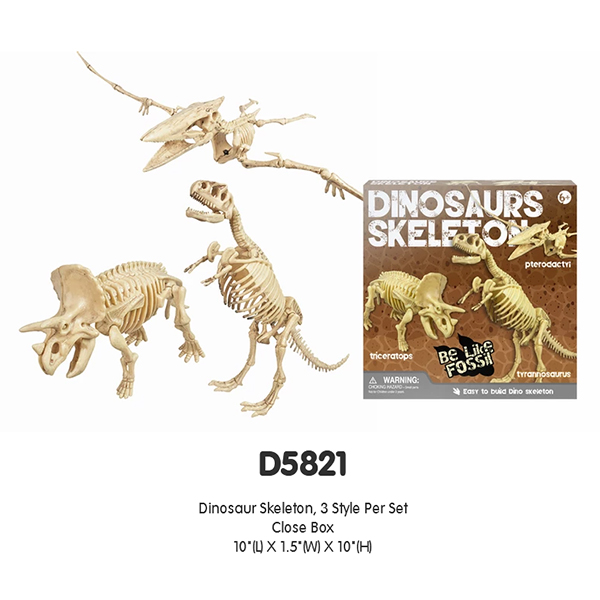 Dinosaur Skeleton, 3 Style Per Set Close Box
